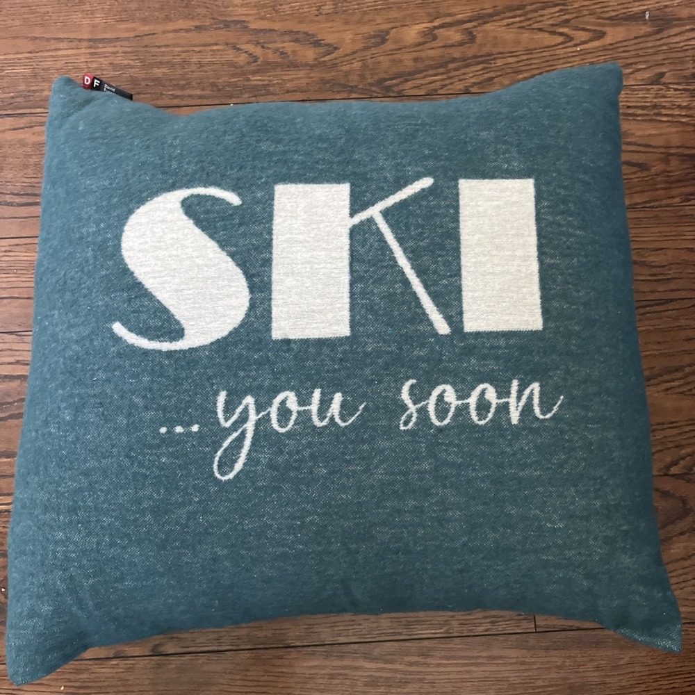 David Fussenegger Ski You Soon green down pillow, New, 18" X 19 World Traveler